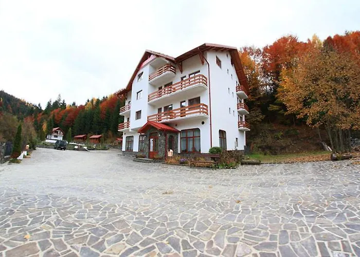 Hotel Paltinis