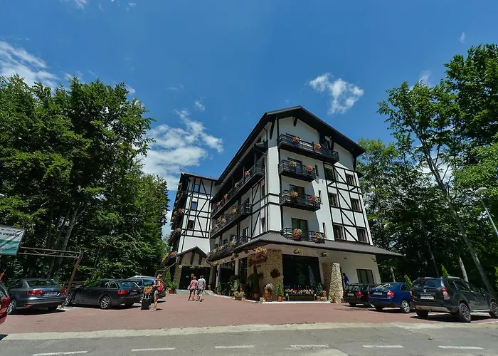 Posada Vidraru