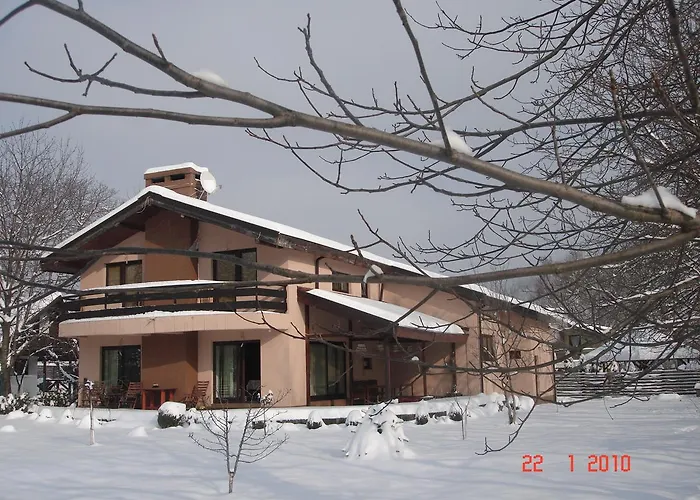 Pensiunea Bamboo - Villa