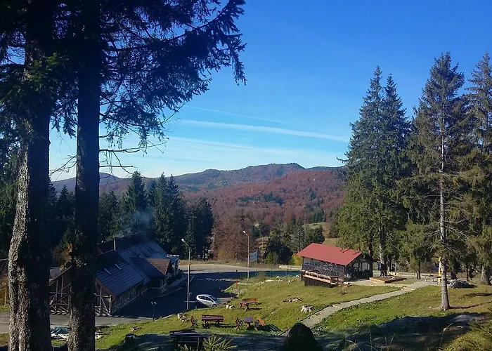 Hanul Cu Ursi