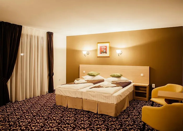 Zana Vaii Hotel Arieşeni, România