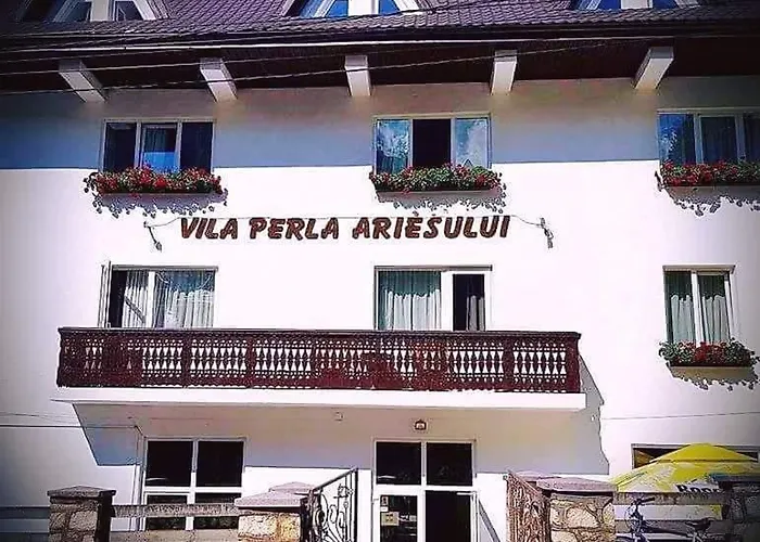 Pensiunea Perla Ariesului