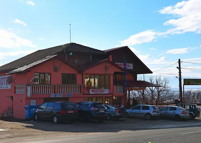 Pensiunea Dealul Viilor