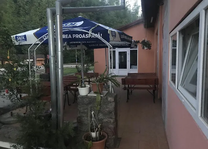 Vila Tanamera Hotel Moneasa, România