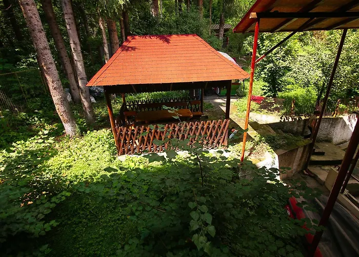 Motel Cotul Donului