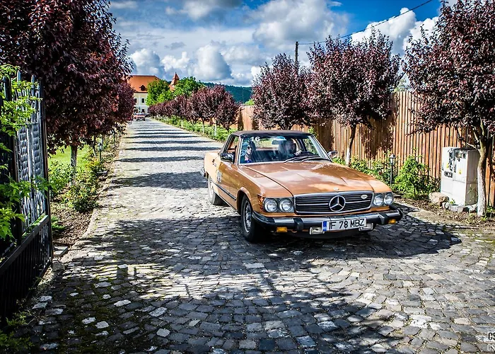 Castel Haller Ogra, România