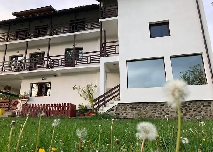 Livada Cu Meri