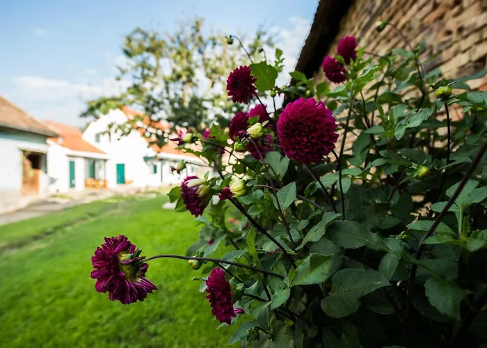 Cloasterf Haus