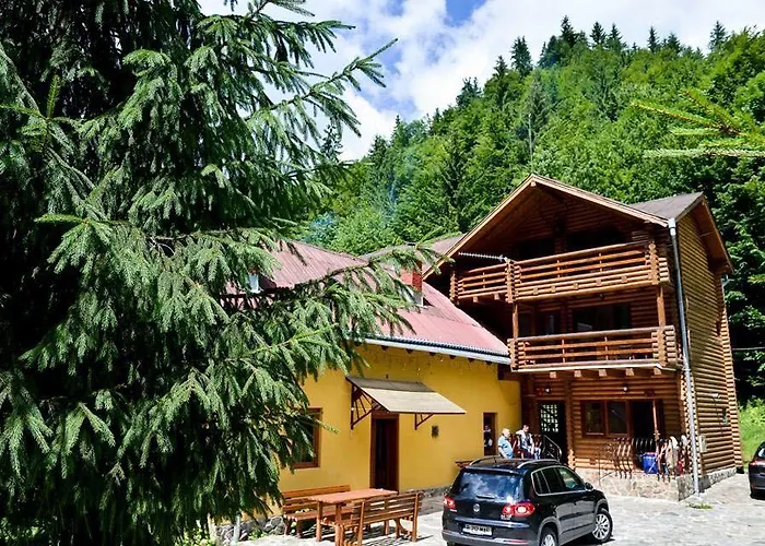 Cabana Bradul