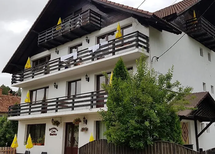 Pensiunea Casa Beatrice Bran Bran , România