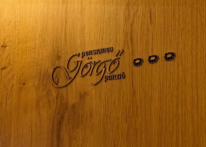 Pensiunea Görgő Panzió