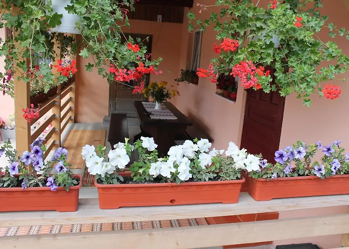 Casa Andreia