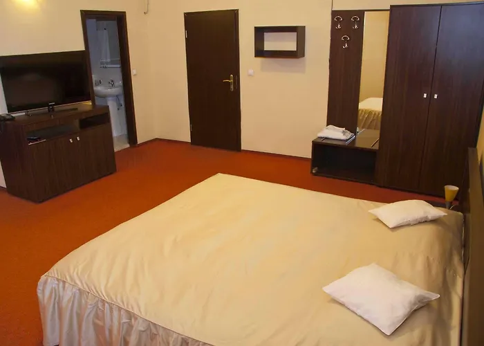 Hotel Victoria Timişoara, România