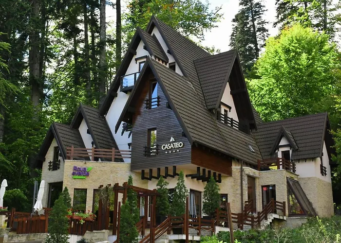 Pensiunea Casa Teo