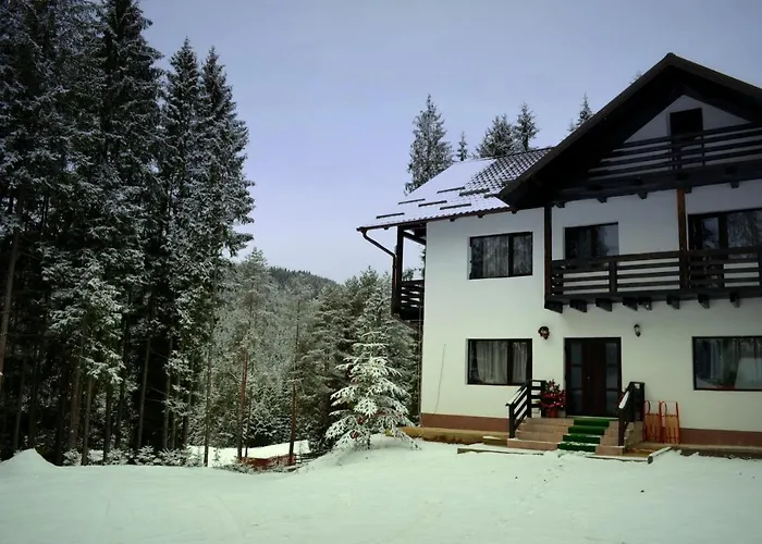 Pensiunea Vatra Bucovinei