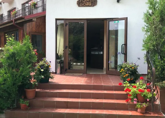 Pensiunea Casa Padurii Slănic, România