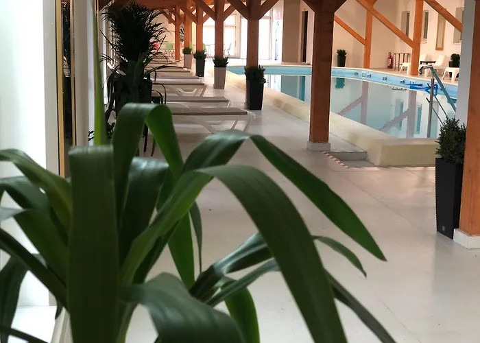 Hotel Ariesul