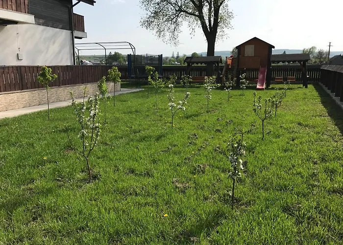 Pensiunea Dany - Crys Zvoristea, România