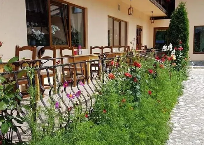 Pension Steaua Ariesului