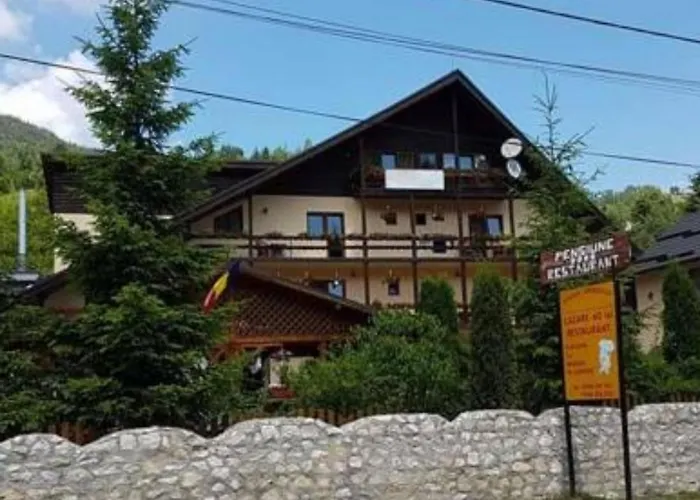 Pension Steaua Ariesului Albac, România