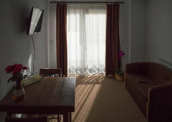Pensiune Casa Ampeia Ampoita, România