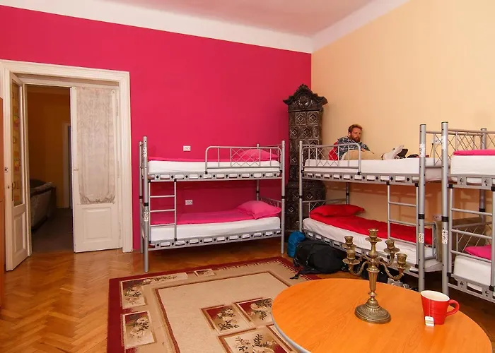 Transylvania Hostel Cluj-Napoca, România