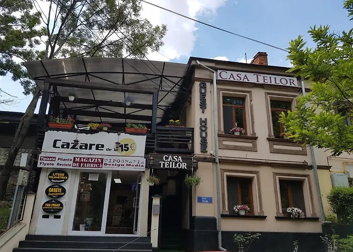 Casa Teilor