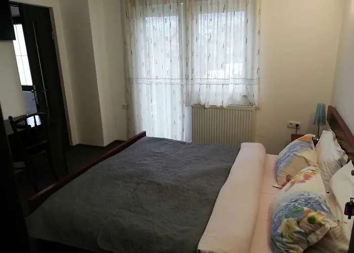 Pensiunea Veronica Câmpulung Moldovenesc, România
