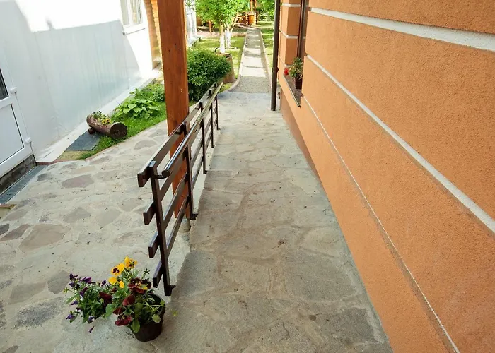 Magic Garden By Vlăduț
