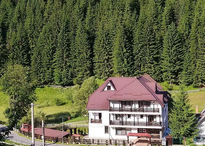 Casa Cu Flori