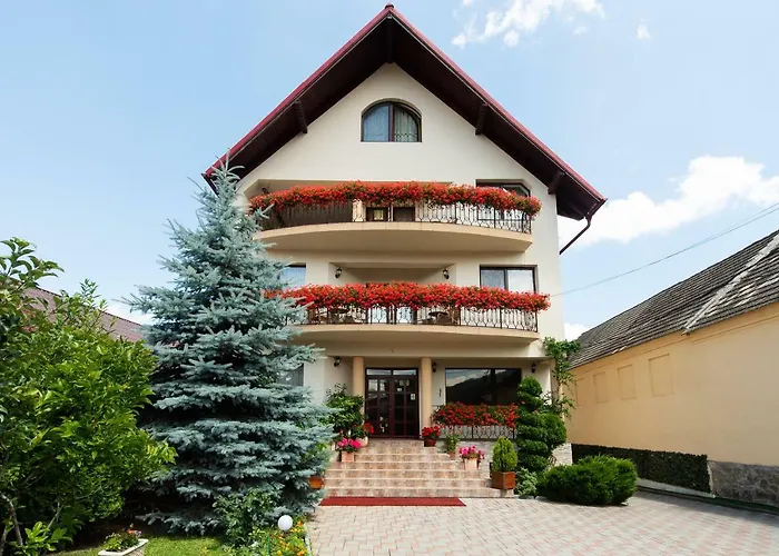 Camere de inchiriat Casa cu flori