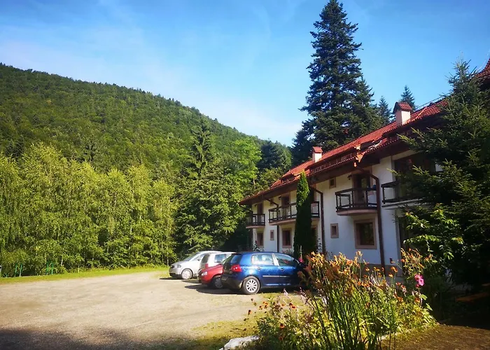 Floarea Reginei Hotel Statiunea Climaterica Sambata, România