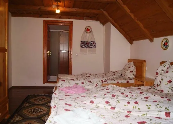 Pensiunea Costinar Aurica Botiza, România