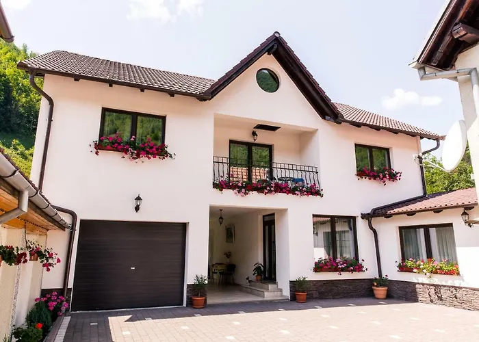 Vila Rodica Transalpina