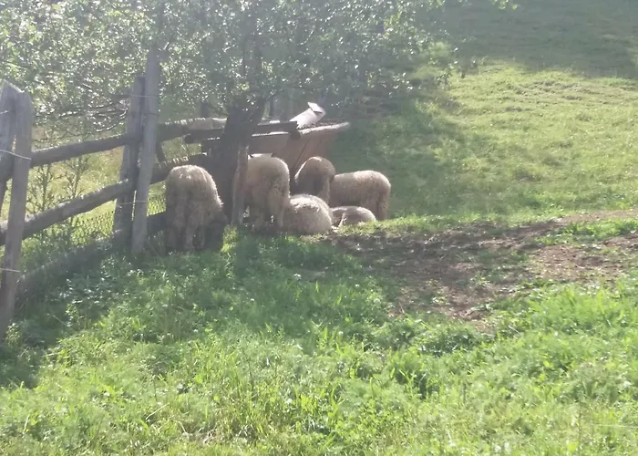 Pensiunea Vladut Bran , România
