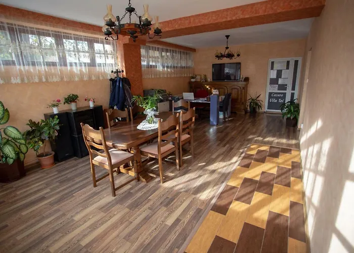 Vila Tei Guesthouse Târgu Jiu, România