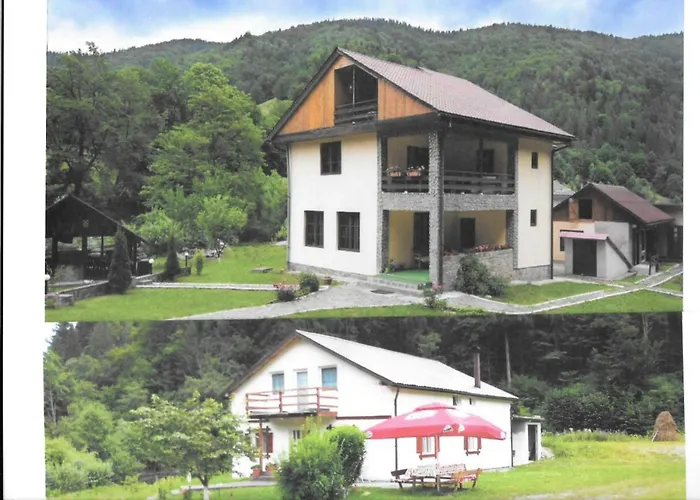 Pensiunea Bobu Izvoru Muntelui, România