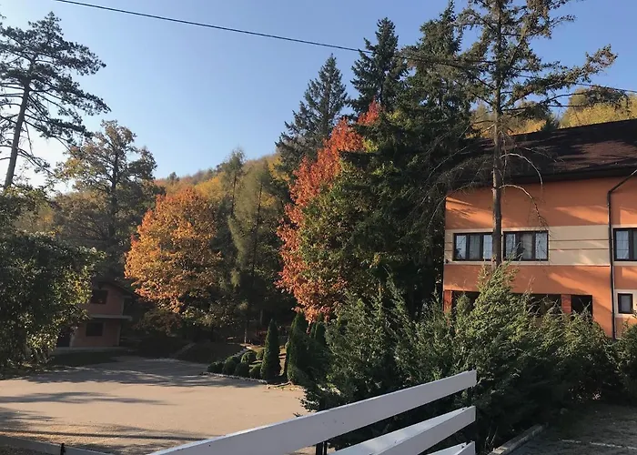 Pensiunea turistica Cabana Bradet Şimleu Silvaniei, România