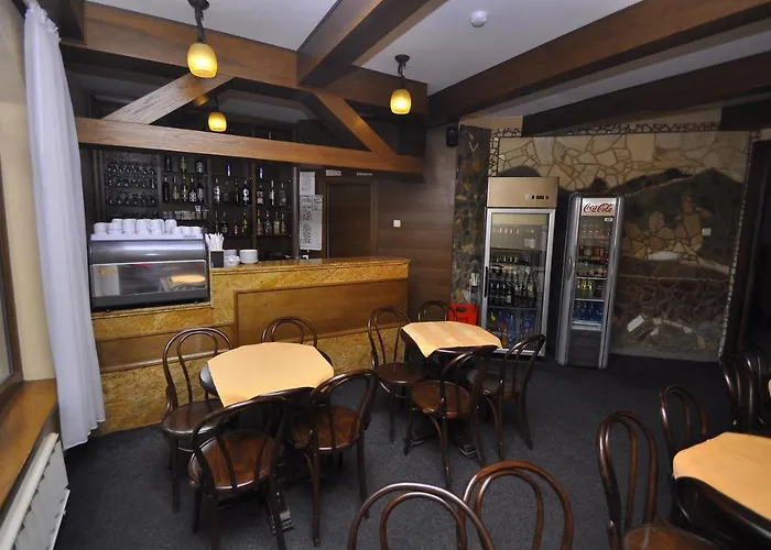 Hotel Cerbul Borşa, România