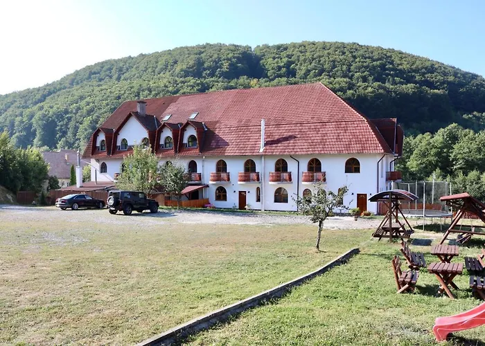 Pensiunea Forras Panzio