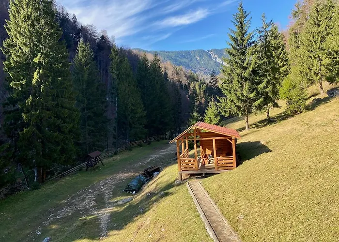 Caprioara - Piatra Craiului