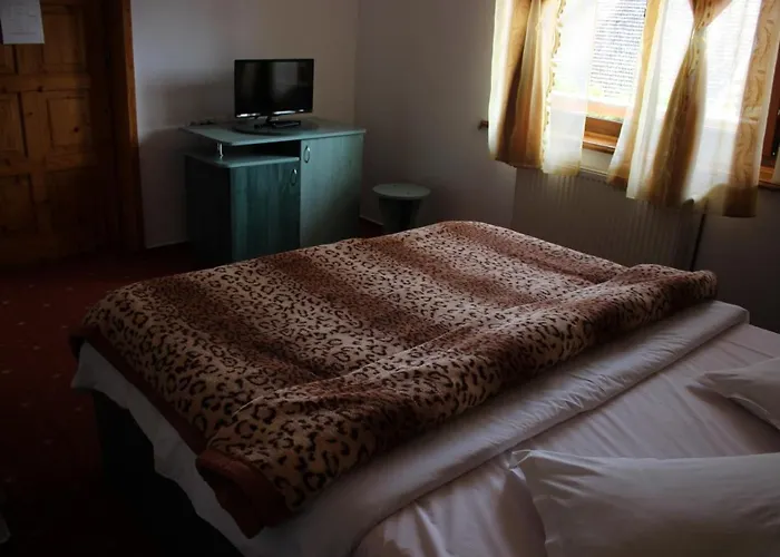 Pension Roni Buşteni, România