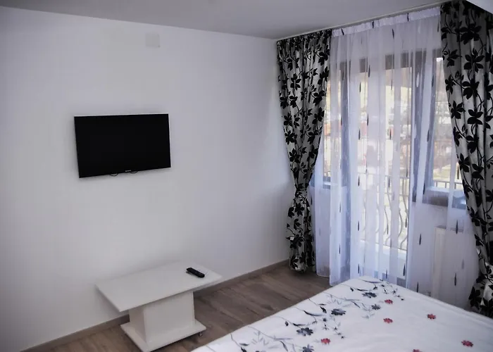 New House Hotel Curtea de Argeş, România