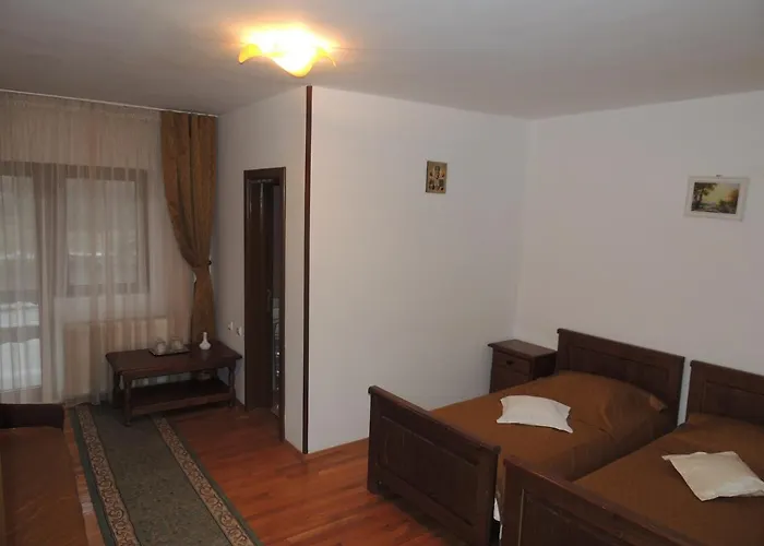 Pension Steaua Ariesului