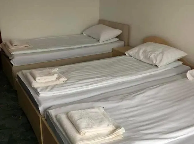 Pensiunea Maria Bodrogu Nou, România