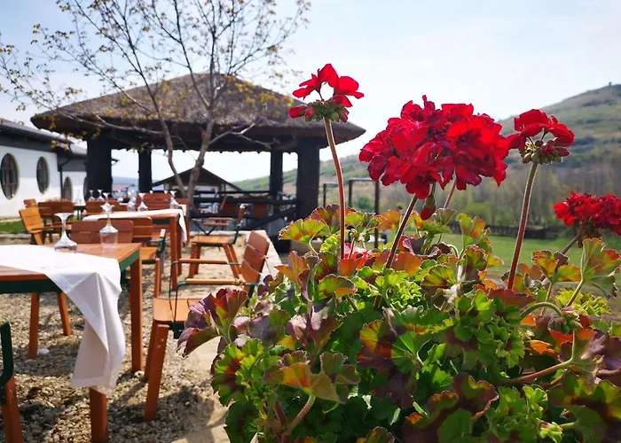 Ferma Dacilor Hotel Tohani, România